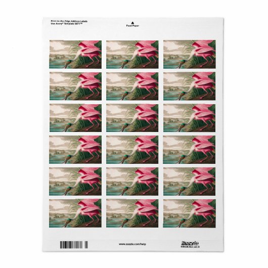 Roseate Spoonbill van John James Audubon Etiket (Full Sheet)