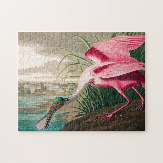 Roseate Spoonbill van John James Audubon Legpuzzel (Horizontaal)