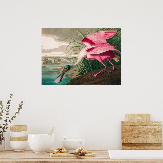 Roseate Spoonbill van John James Audubon Poster (Keuken)