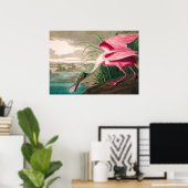 Roseate Spoonbill van John James Audubon Poster (Thuiskantoor)