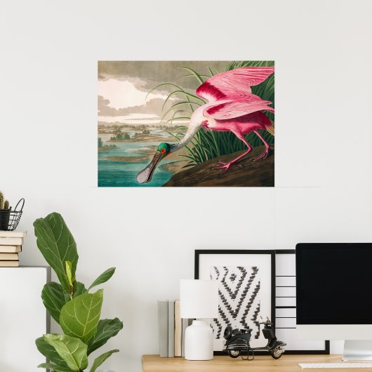 Roseate Spoonbill van John James Audubon Poster (Thuiskantoor)