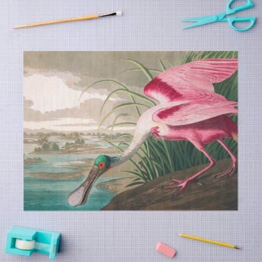 Roseate Spoonbill van John James Audubon Tissuepapier (Craft)
