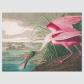 Roseate Spoonbill van John James Audubon Tissuepapier (Voorkant)