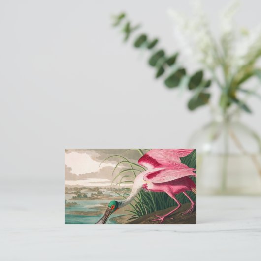 Roseate Spoonbill van John James Audubon Visitekaartje (Staand voorkant)