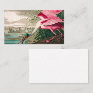 Roseate Spoonbill van John James Audubon Visitekaartje
