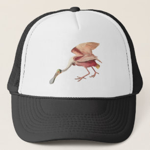 Roseate Spoonbill Wading Bird Illustration Art Trucker Pet