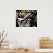 Roseate Spoonbill Waterverf Poster (Keuken)