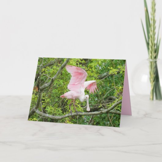Roseate Spoonbill Wenskaart Feestdagen Kaart (Voorkant)