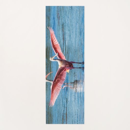 Roseate Spoonbill Yoga Mat (Voorkant)