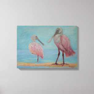 ROSEATE SPOONBILLEN IN FLORIDA Canvas Print