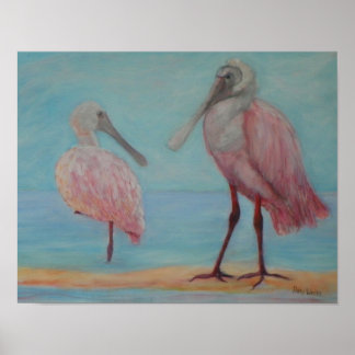 ROSEATE SPOONBILLEN IN FLORIDA-Poster Poster