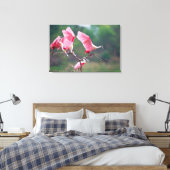Roseate Spoonbills (Ajaia Ajaja) Landing Canvas Afdruk (Insitu (Slaapkamer))