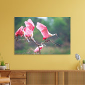 Roseate Spoonbills (Ajaia Ajaja) Landing Canvas Afdruk (Insitu (Woonkamer))