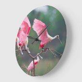 Roseate Spoonbills (Ajaia Ajaja) Landing Grote Klok (Hoek)