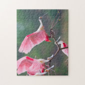 Roseate Spoonbills (Ajaia Ajaja) Landing Legpuzzel (Verticaal)