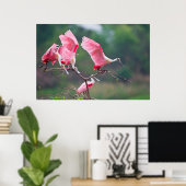 Roseate Spoonbills (Ajaia Ajaja) Landing Poster (Thuiskantoor)