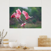 Roseate Spoonbills (Ajaia Ajaja) Landing Poster (Keuken)