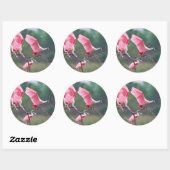 Roseate Spoonbills (Ajaia Ajaja) Landing Ronde Sticker (Vel)