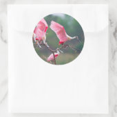 Roseate Spoonbills (Ajaia Ajaja) Landing Ronde Sticker (Tas)