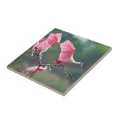 Roseate Spoonbills (Ajaia Ajaja) Landing Tegeltje (Zijkant)