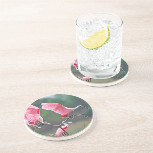 Roseate Spoonbills (Ajaia Ajaja) Landing Zandsteen Onderzetter (Zijkant)