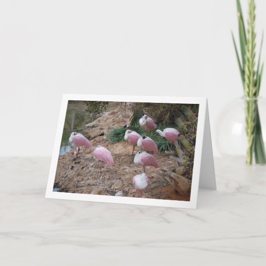 Roseate Spoonrekeningen Kaart (Voorkant)