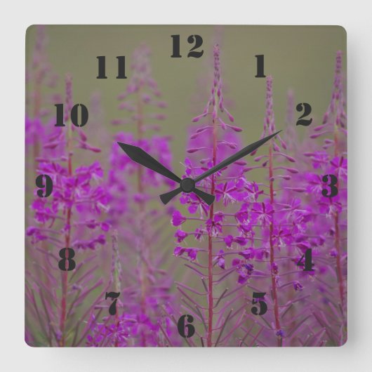 Rosebay Willowherb Clock Vierkante Klok (Voorkant)