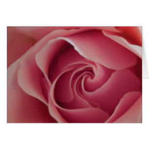 Rosebud