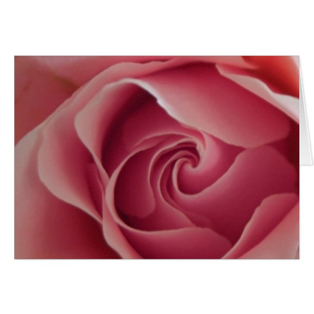 Rosebud (Voorkant Horizontaal)