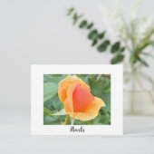Rosebud bedankkaart briefkaart (Staand voorkant)