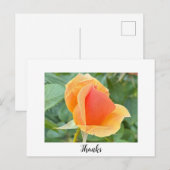 Rosebud bedankkaart briefkaart (Voorkant / Achterkant)