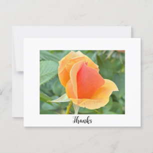 Rosebud bedankkaart briefkaart