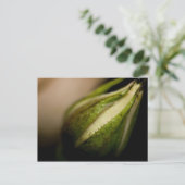 Rosebud Close-up Briefkaart (Staand voorkant)