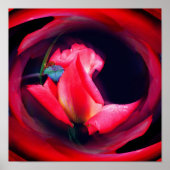 Rosebud Floral Abstracte kunst Poster (Voorkant)