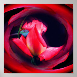 Rosebud Floral Abstracte kunst Poster