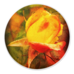 Rosebud Floral Art Foto's verfijnd Keramische Knop