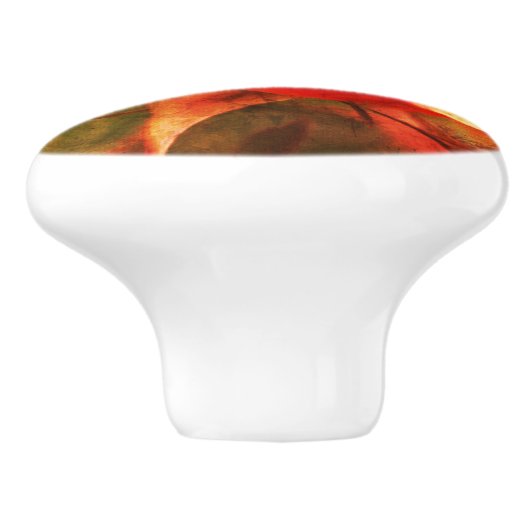 Rosebud Floral Art Foto's verfijnd Keramische Knop (Zijkant)