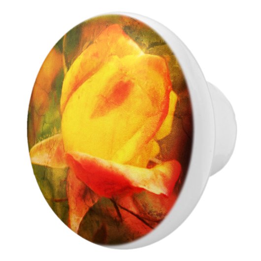 Rosebud Floral Art Foto's verfijnd Keramische Knop (Rechts)