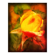 Rosebud Floral Art Foto's verfijnd