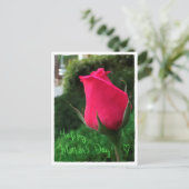Rosebud Happy Moederdag Briefkaart (Staand voorkant)