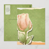  rosebud in groen, briefkaart (Voorkant / Achterkant)