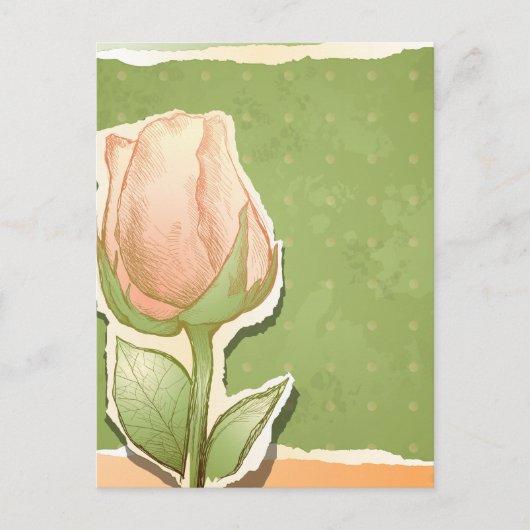  rosebud in groen, briefkaart (Voorkant)