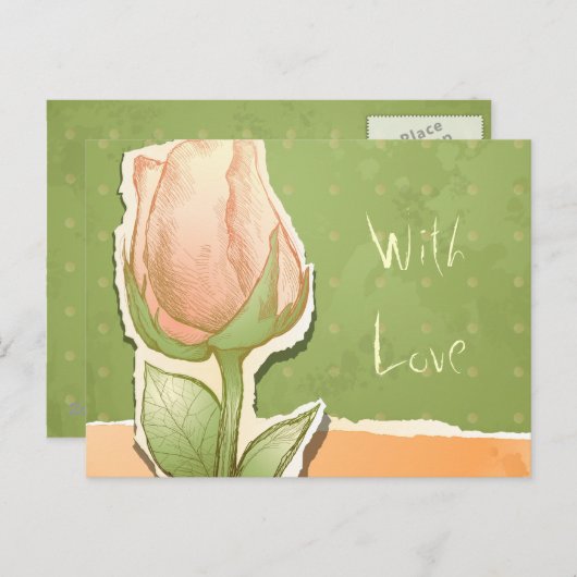  rosebud in groen, briefkaart (Voorkant / Achterkant)