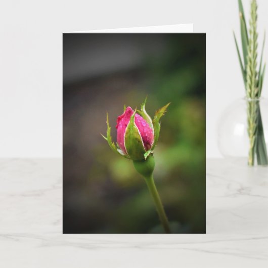 Rosebud, kaart (Voorkant)