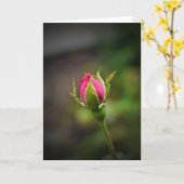 Rosebud, kaart (Gele Bloem)