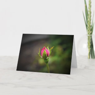 Rosebud, kaart