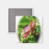 Rosebud Magnet (Voorkant / Achterkant)