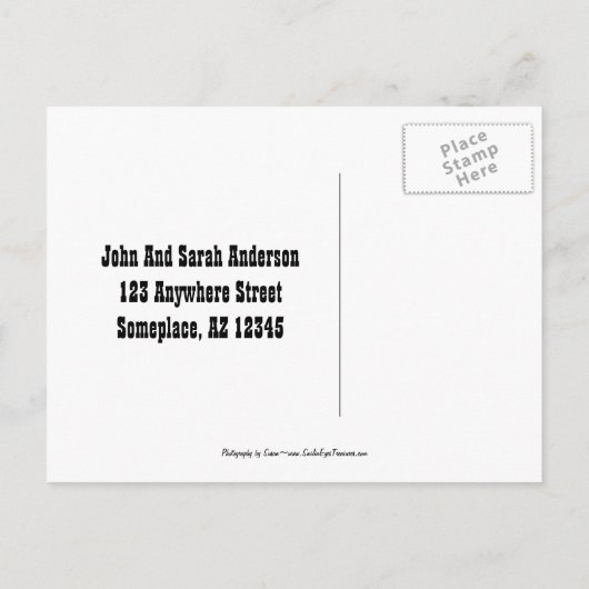 Rosebud New Address Moving Briefkaart (Achterkant)