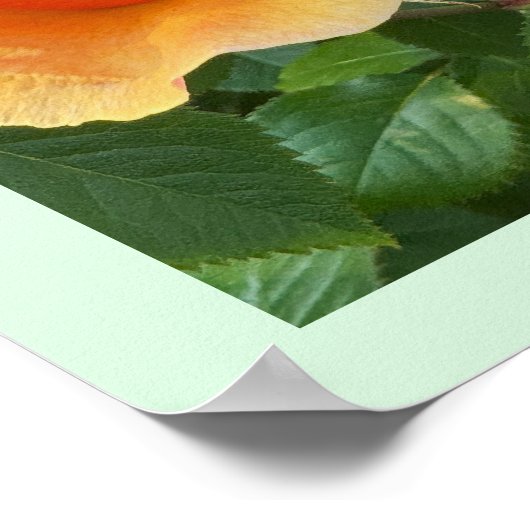 Rosebud Photo Poster (Hoek)