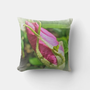 Rosebud Roos Kussen